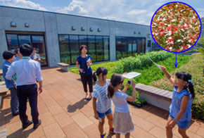 屋上庭園を見学。