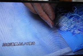 爪で緯糸を掻き寄せます。