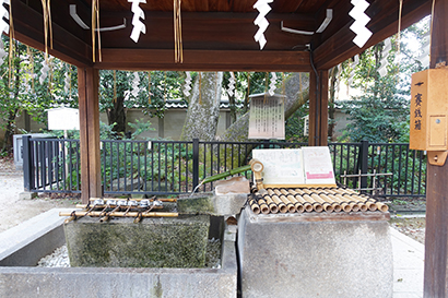 白峯神宮内 飛鳥井