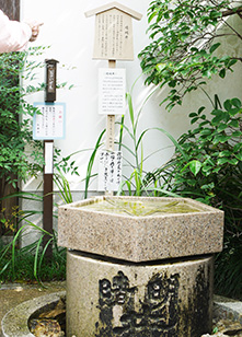 晴明神社の晴明水
