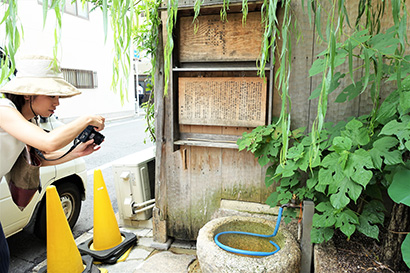 新滋野井(麩嘉の井)