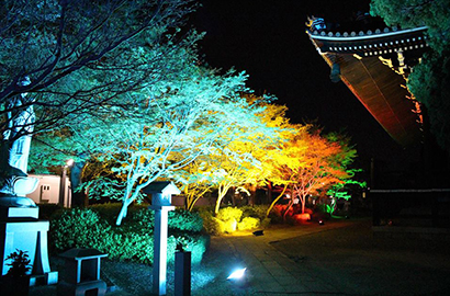 ライトアップで上京に活気を！