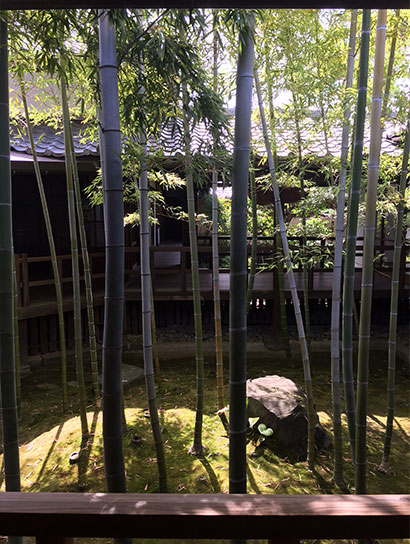 竹林の坪庭