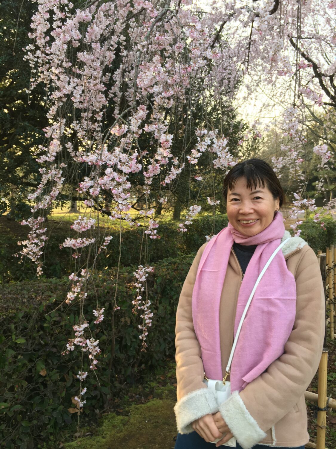 亀村 佳都<br />
京都市まちづくりアドバイザー