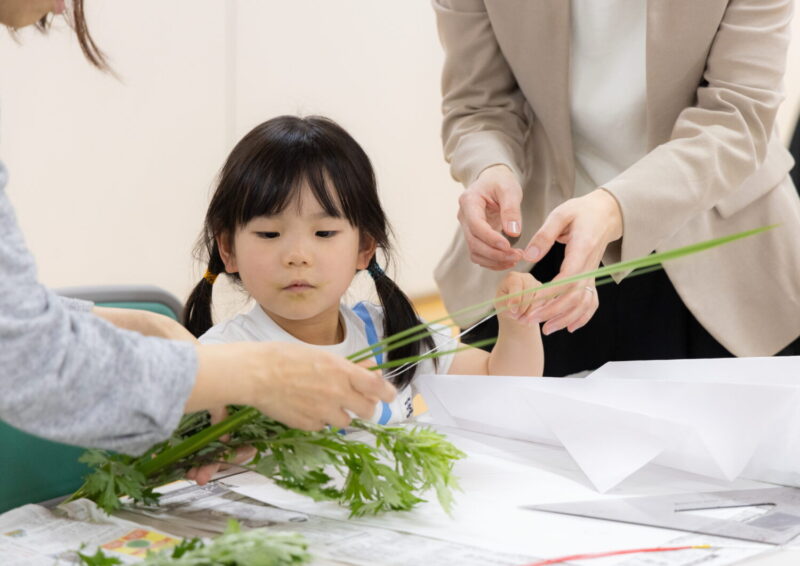 真剣なまなざしで菖蒲と蓬をみつめます