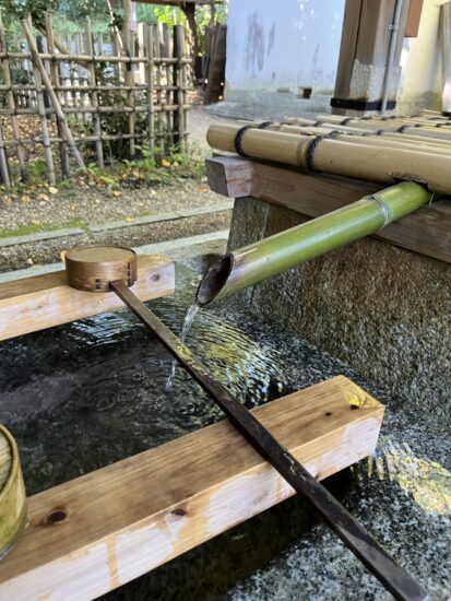 京都三名水のうち唯一現存する染井の水。今も清らかな水が湧くことで知られています。