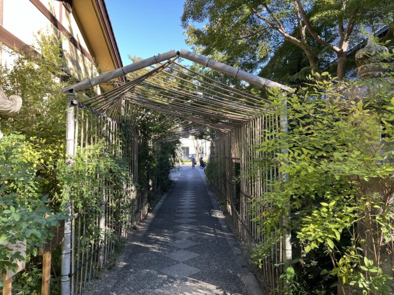 萩のトンネル「萩のまにまに」