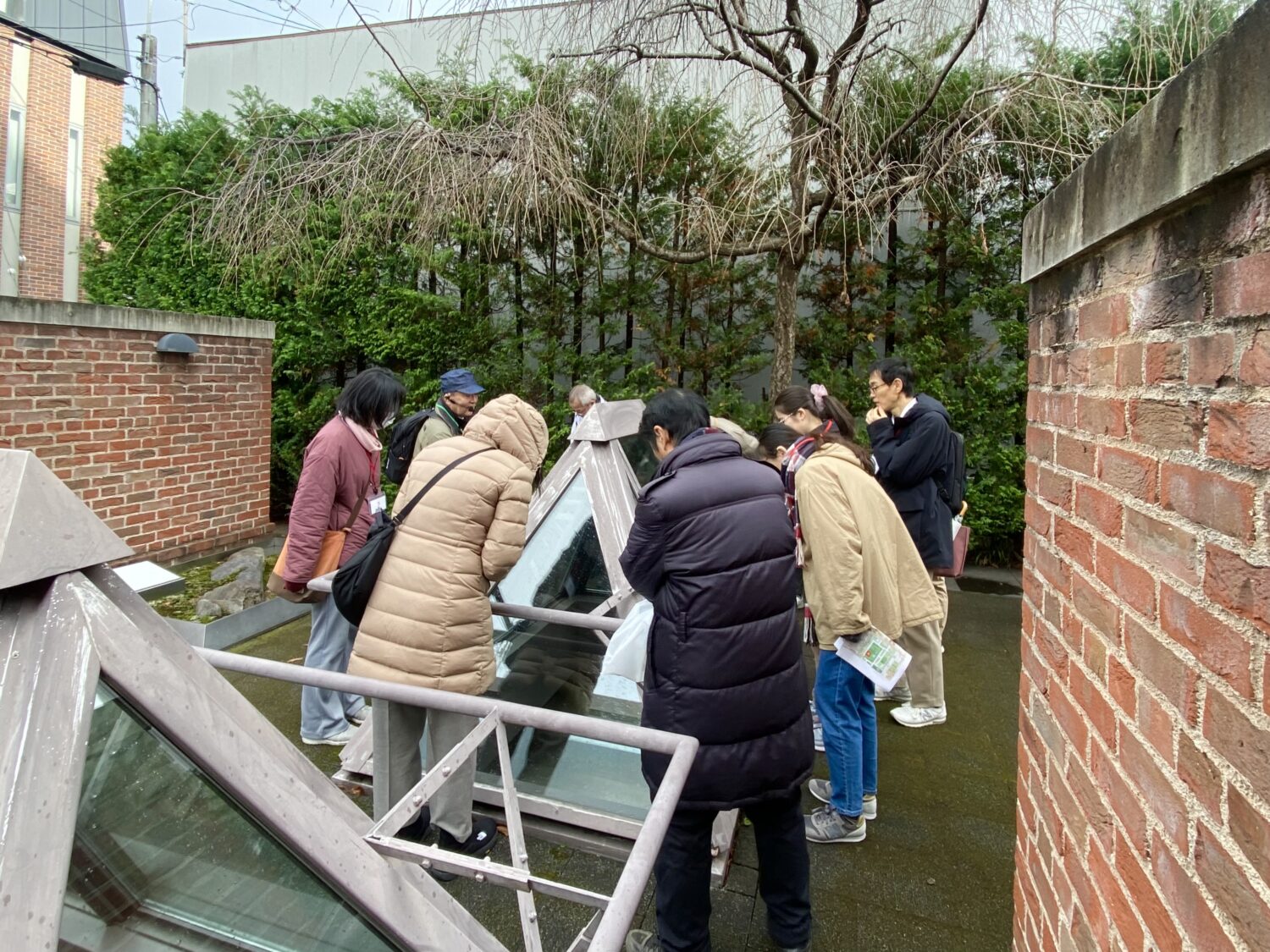 石敷き遺構を熱心に見る参加者