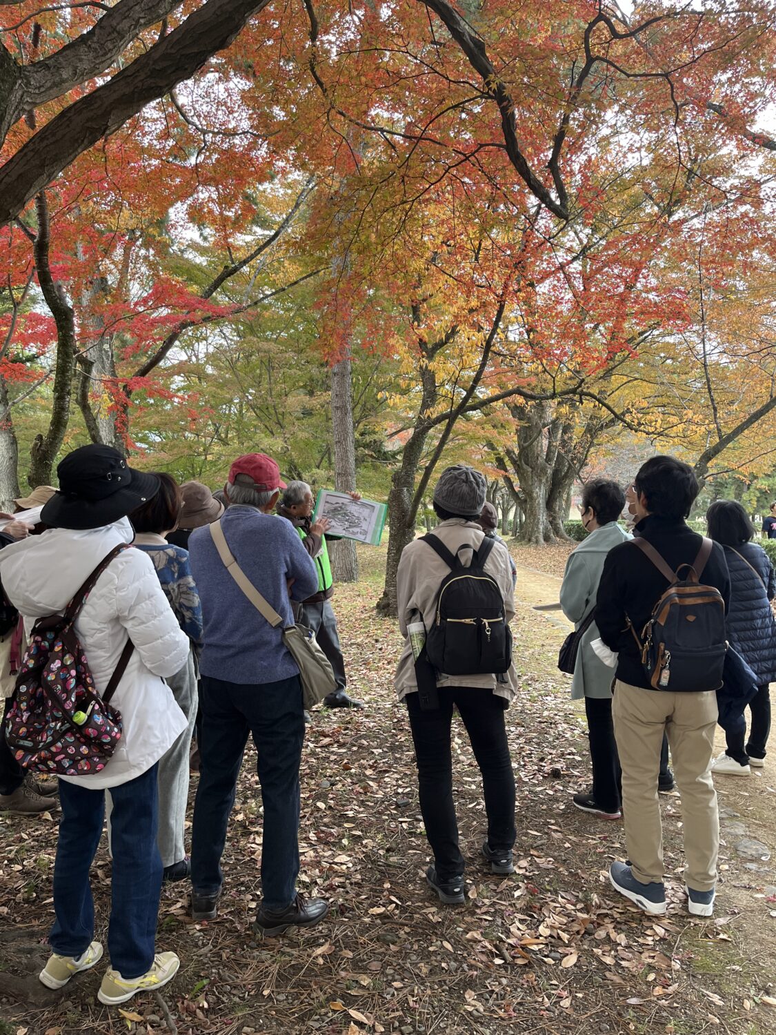 京都御所・御苑の魅力を味わうガイドツアー