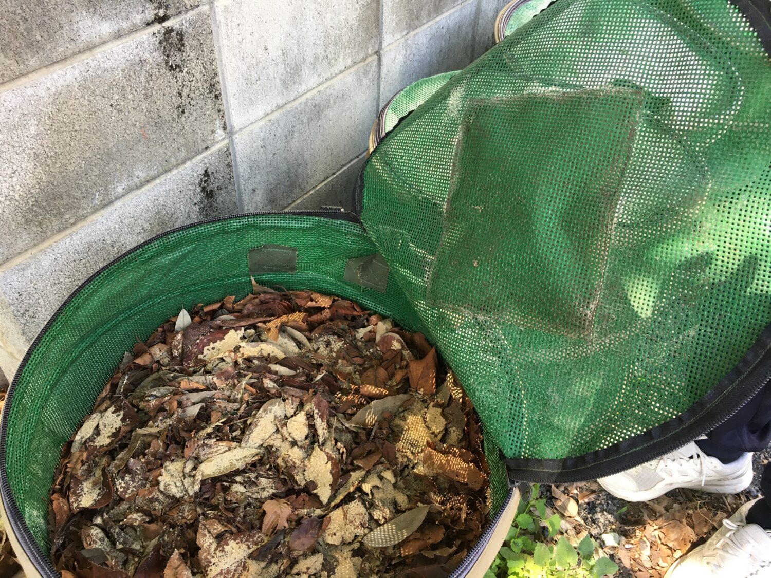 落ち葉と米ぬかを入れた堆肥づくり