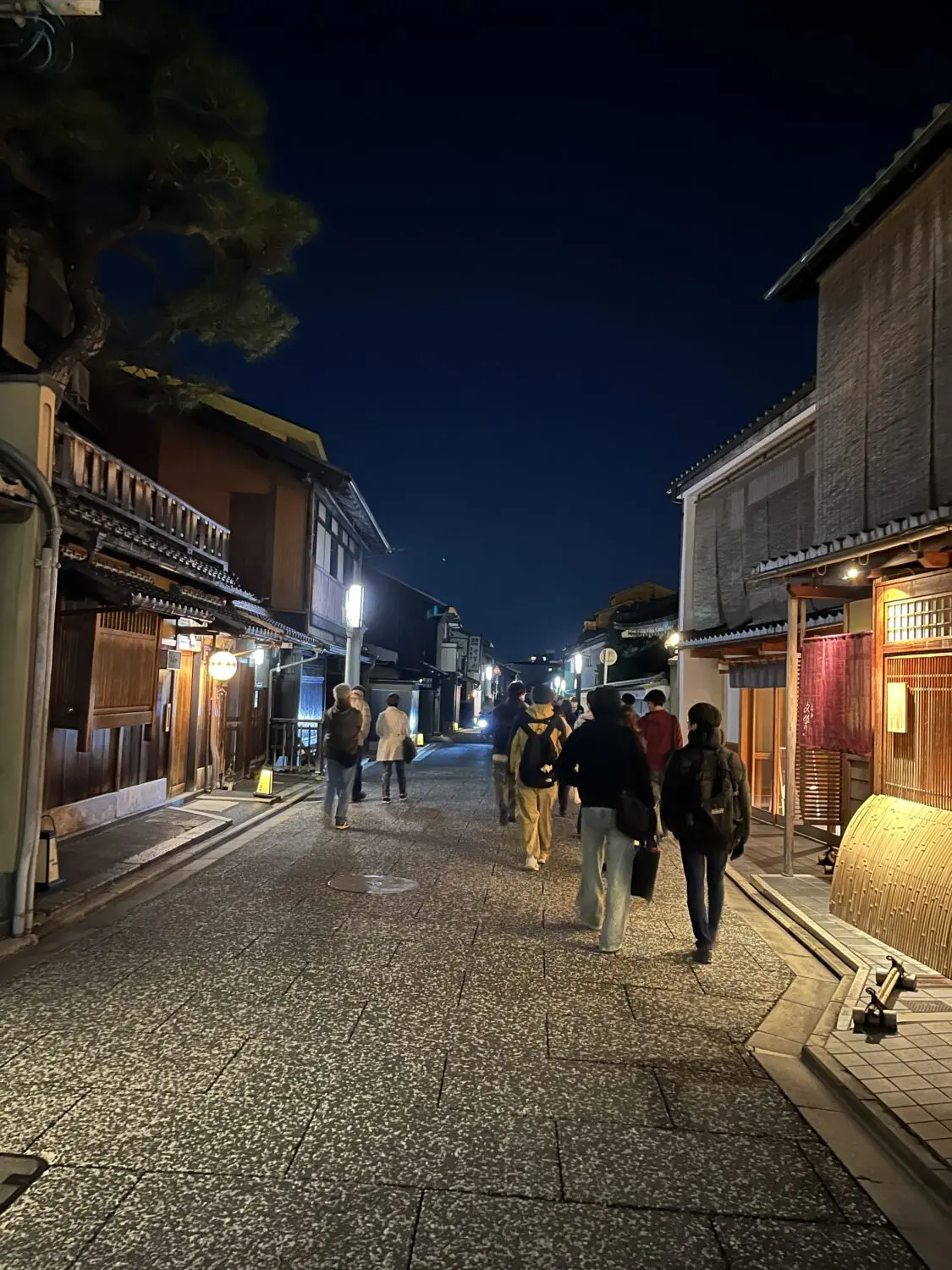 灯りが美しい夜の上七軒