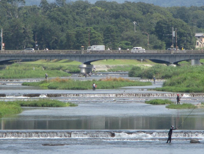 えっ上京区で鮎釣り大会？？～上京区１４０周年記念事業「鴨川の天然鮎」友釣り大会について～