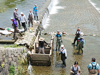 京の恵みを活かす会の方ともに魚道を設置する大会関係者