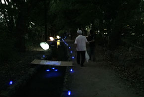 ほのかな灯りが印象的だった「堀川ほたるの森」