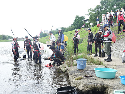 おとり鮎の配布場所