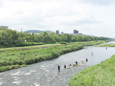 鴨川で競技にいそしむ参加者